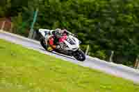 Brno;event-digital-images;motorbikes;no-limits;peter-wileman-photography;trackday;trackday-digital-images